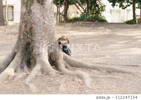 大きな木に隠れる小さな女の子 112247154