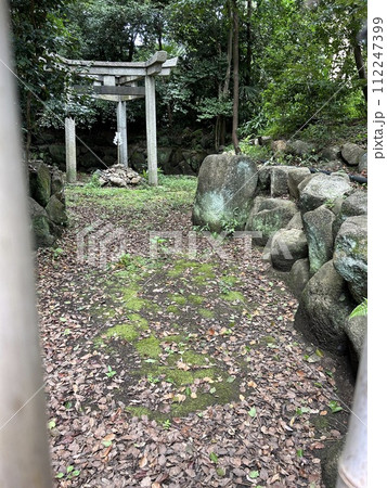 京都の神社、木嶋坐天照御魂神社の蚕ノ社の三柱鳥居です。 112247399
