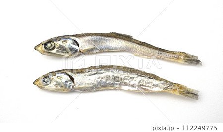 いりこ いりこ 112249775