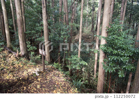 千福城　北曲輪空堀 112250072