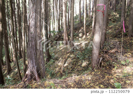 千福城　北曲輪の連続竪堀 112250079