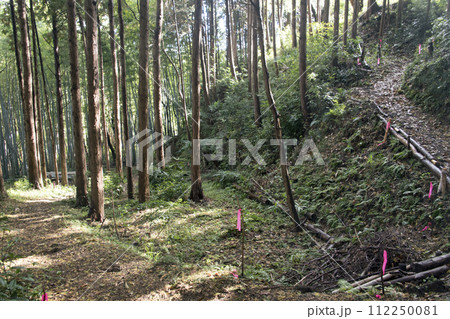 千福城　空堀跡と土塁 112250081