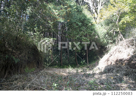 千福城に残る巨大箱堀 112250083