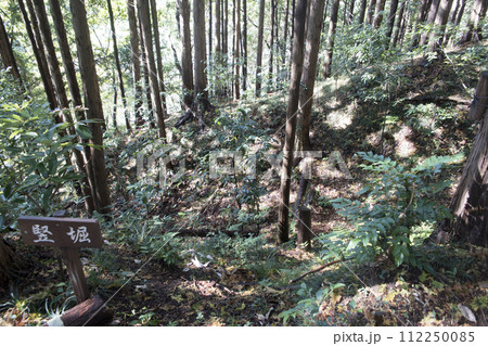 千福城　二の曲輪横の竪堀 112250085