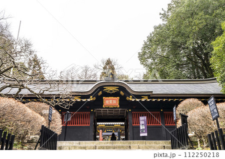 早春の瑞鳳殿　拝殿　宮城県仙台市 112250218