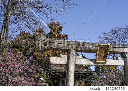 城南宮(京都市)唐渡天満宮の鳥居 城南宮(京都市)唐渡天満宮の鳥居 112250386