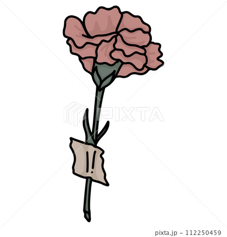 Flowers in pots for home decoration Flowers in pots for home decoration 112250459