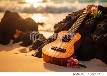 Serene beach sunset with ukulele 112250465
