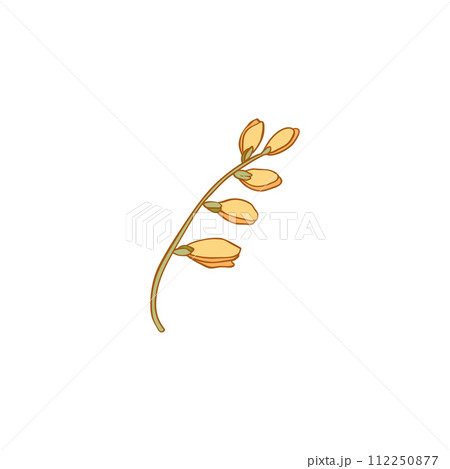 Luxury flower and logo colorful hand drawn. Trendy botanical element. Hand drawn line leave branch and blooming. Wedding elegant wildflower for invitation save the date card. Vector 112250877