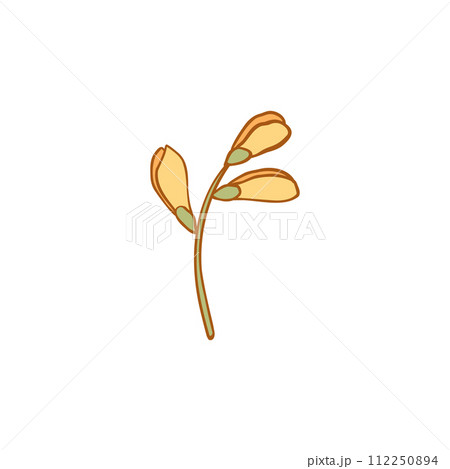 Luxury flower and logo colorful hand drawn. Trendy botanical element. Hand drawn line leave branch and blooming. Wedding elegant wildflower for invitation save the date card. Vector 112250894