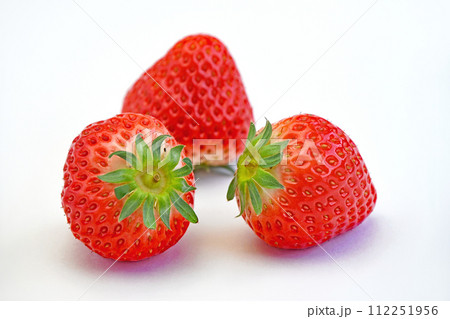 いちご（さぬきひめ） 112251956