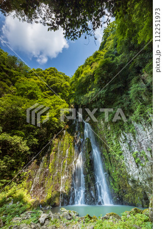 新緑に包まれた滝 112251973
