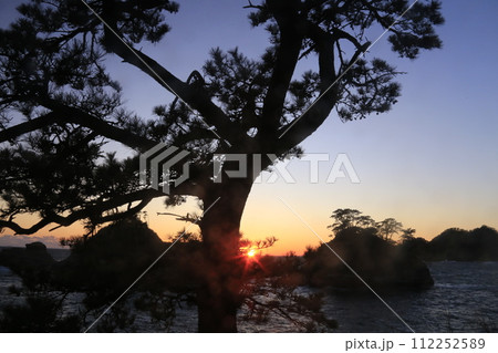 堂ヶ島の松の向こう夕景 112252589