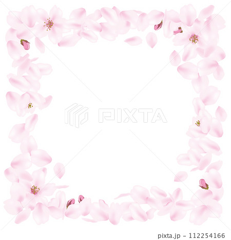 ピンク色の桜の花びらフレーム 112254166