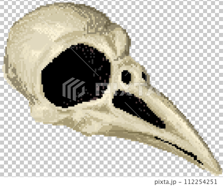 Crow skull Crow skull 112254251