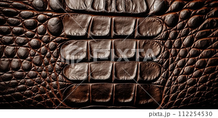 Alligator leather texture in brown color. Textured backgrouds and backdrops. Ai Generative illustration Alligator leather texture in brown color. Textured backgrouds and backdrops. Ai Generative illustration 112254530