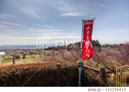 箕郷梅林の梅公園 群馬県 箕郷梅林の梅公園 群馬県 112256413