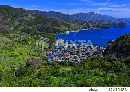 【愛媛県】晴天の宇和海狩浜の段畑と農漁村景観 112256428