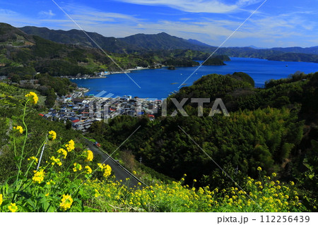 【愛媛県】晴天の宇和海狩浜の段畑と農漁村景観 112256439