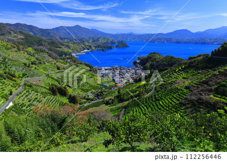 【愛媛県】晴天の宇和海狩浜の段畑と農漁村景観 112256446