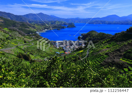【愛媛県】晴天の宇和海狩浜の段畑と農漁村景観 【愛媛県】晴天の宇和海狩浜の段畑と農漁村景観 112256447
