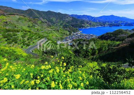 【愛媛県】晴天の宇和海狩浜の段畑と農漁村景観 【愛媛県】晴天の宇和海狩浜の段畑と農漁村景観 112256452