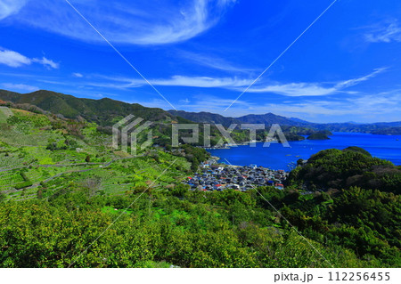 【愛媛県】晴天の宇和海狩浜の段畑と農漁村景観 【愛媛県】晴天の宇和海狩浜の段畑と農漁村景観 112256455