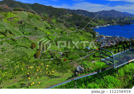 【愛媛県】晴天の宇和海狩浜の段畑と農漁村景観 【愛媛県】晴天の宇和海狩浜の段畑と農漁村景観 112256459