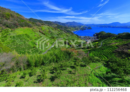 【愛媛県】晴天の宇和海狩浜の段畑と農漁村景観 【愛媛県】晴天の宇和海狩浜の段畑と農漁村景観 112256468