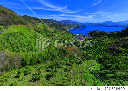 【愛媛県】晴天の宇和海狩浜の段畑と農漁村景観 【愛媛県】晴天の宇和海狩浜の段畑と農漁村景観 112256469