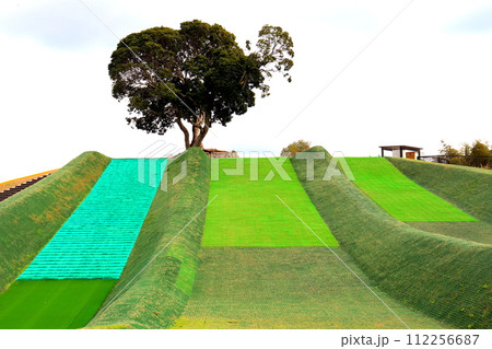 草滑り 草そり 響灘緑地 グリーンパーク 福岡県 北九州市 若松区 公園 草滑り 草そり 響灘緑地 グリーンパーク 福岡県 北九州市 若松区 公園 112256687