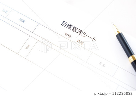 個人やチームの達成目標を明確に定義し、進捗状況を追跡するためのツールである「目標管理シート」を書く 個人やチームの達成目標を明確に定義し、進捗状況を追跡するためのツールである「目標管理シート」を書く 112256852
