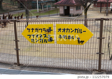 カンガルー カンガルー広場 響灘緑地 グリーンパーク 福岡県 北九州市 若松区 公園 カンガルー カンガルー広場 響灘緑地 グリーンパーク 福岡県 北九州市 若松区 公園 112257079