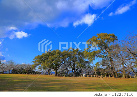 徳島市 徳島中央公園 城山山頂の景色 112257110