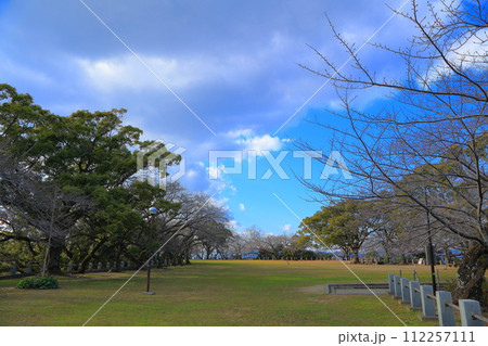 徳島市 徳島中央公園 城山山頂の景色 112257111