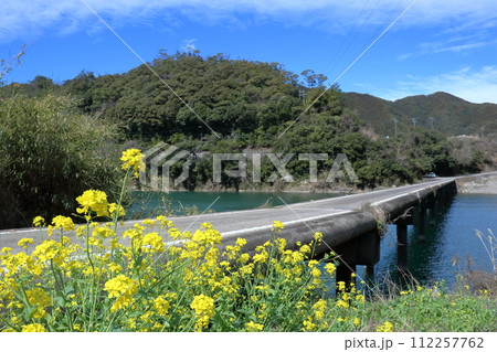 四万十川に架かる三里沈下橋と菜の花 (高知県 四万十市) 四万十川に架かる三里沈下橋と菜の花 (高知県 四万十市) 112257762