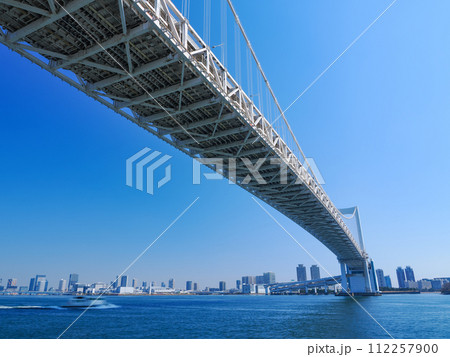 (東京都)芝浦南ふ頭公園から見上げるレインボーブリッジ (東京都)芝浦南ふ頭公園から見上げるレインボーブリッジ 112257900