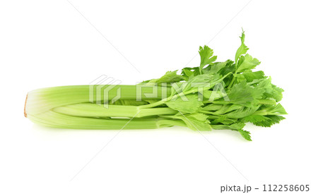 celery isolated on white background 112258605