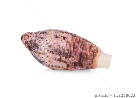 taro isolated on white background taro isolated on white background 112258622