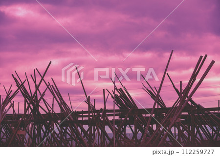 Wooden rack for air-drying fish against purple sunset sky. Fishing village, Lofoten Islands, Norway 112259727