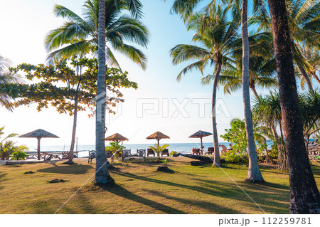 Palm trees on an island by the beach in the morning Palm trees on an island by the beach in the morning 112259781