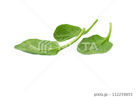 Heap of green spinach leaves isolated on white. Heap of green spinach leaves isolated on white. 112259855