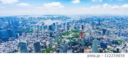 東京 都心部 空撮写真 112259856