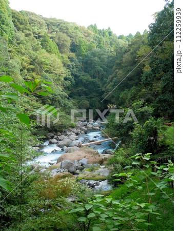 霧島神宮の近くの霧島川の風景　（鹿児島県） 112259939