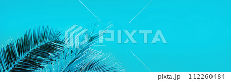 Palm tree leaves against the blue sky. Tropical nature background. Horizontal banner cyan toning Palm tree leaves against the blue sky. Tropical nature background. Horizontal banner cyan toning 112260484