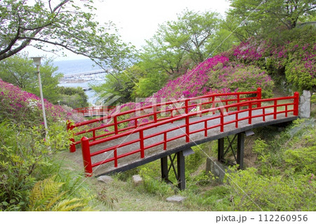 淡輪遊園(あたご山公園)のツツジ群落/朱塗りのレトロな橋(上側 :京橋 / 下側 : 松寿橋) 淡輪遊園(あたご山公園)のツツジ群落/朱塗りのレトロな橋(上側 :京橋 / 下側 : 松寿橋) 112260956