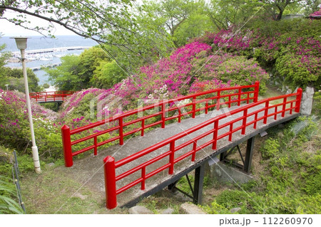 淡輪遊園(あたご山公園)のツツジ群落/朱塗りのレトロな橋(上側 :京橋 / 下側 : 松寿橋) 淡輪遊園(あたご山公園)のツツジ群落/朱塗りのレトロな橋(上側 :京橋 / 下側 : 松寿橋) 112260970