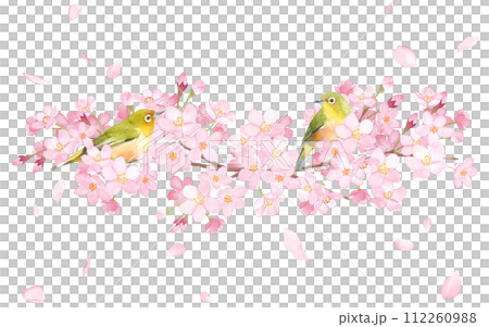 桜と野鳥（メジロ）2羽の装飾フレーム。水彩イラスト。  112260988