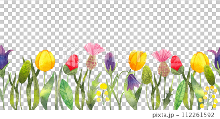 Seamless border with flowers.Watercolor illustration. Spring botanical frame of wildflowers for Easter. Hand drawn isolated art. Seasonal decoration with tulips, camellia, thistles and bluebells 112261592