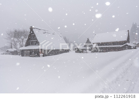 雪降る五箇山 菅沼合掌造り集落　 112261918